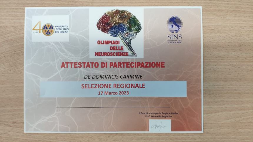 Carmine De Dominicis è campione regionale di neuroscienze