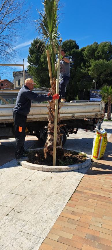 Vasto marina si prepara alla Pasqua e all'estate, tra i progetti una palestra all'aperto