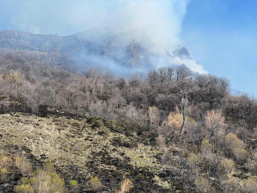 In fiamme area boschiva a Villa Celiera, intervento del Canadair