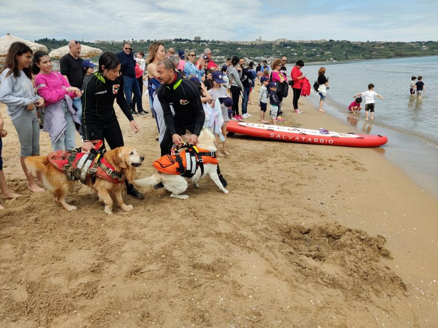  Cani bagnino protagonisti a Vasto Marina per “Papà ti salvo io”