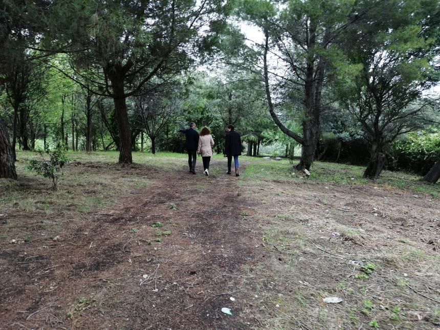 Piantati 1000 alberi in via Trave: “Per un parco che si affaccia sul mare, fruibile ai cittadini”