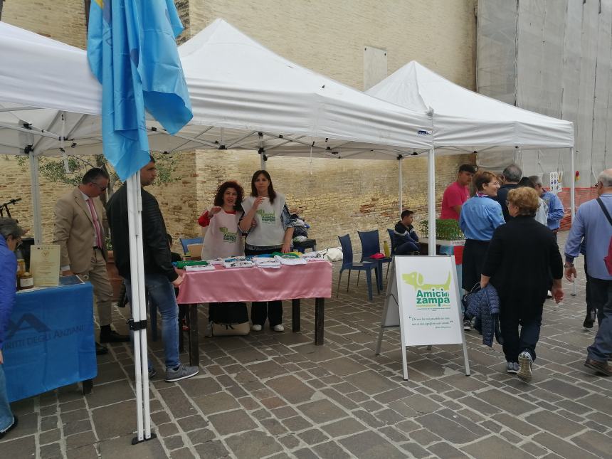 Giro d'Italia, entusiasmo in centro: "L'Abruzzo meritava i riflettori, Vasto è bellissima"