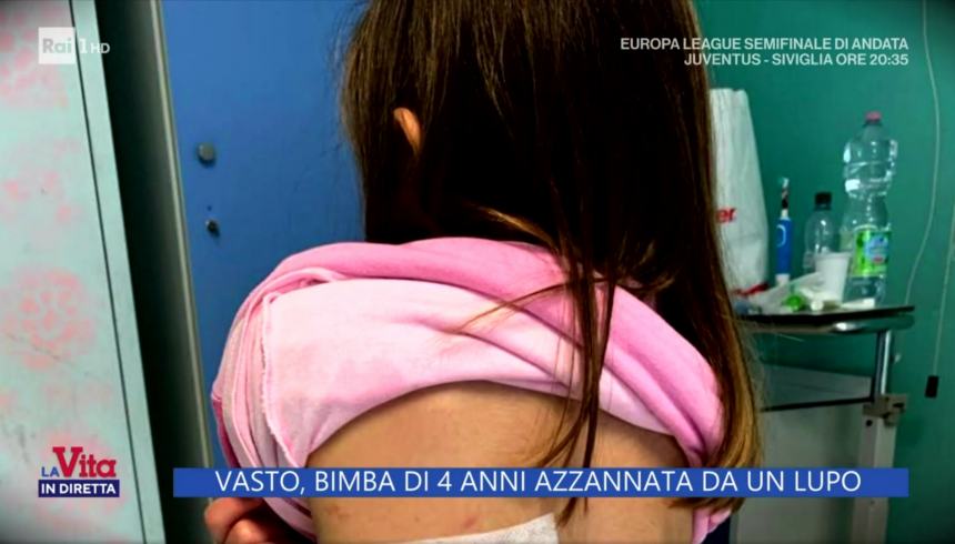 Bimba aggredita dal selvatico, il papà alla “Vita in diretta”: “Non dimenticherò le sue urla”