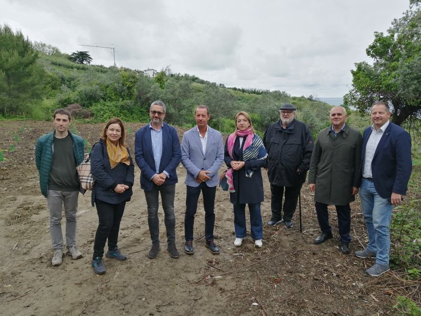 Piantati 1000 alberi in via Trave: “Per un parco che si affaccia sul mare, fruibile ai cittadini”