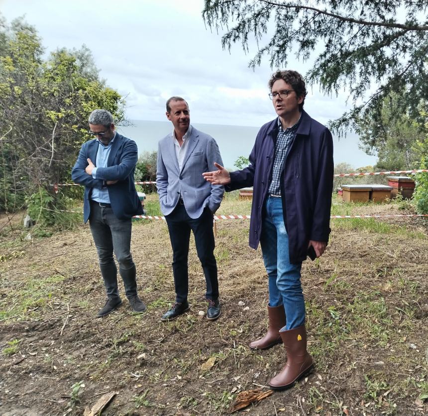 Piantati 1000 alberi in via Trave: “Per un parco che si affaccia sul mare, fruibile ai cittadini”