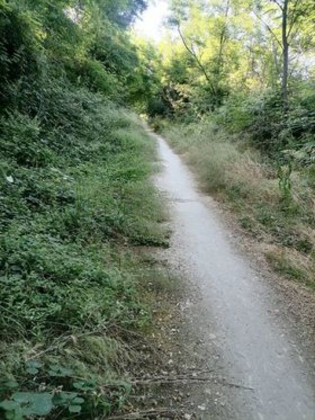 Punta Aderci, Via Verde invasa dall'erba: "Interverrà la Provincia, sennò provvederà il Comune"