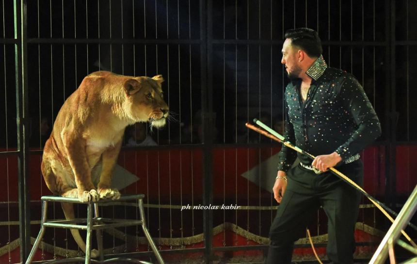 L'adrenalinico Circo Greca Orfei vi aspetta a San Salvo Marina fino al 9 luglio