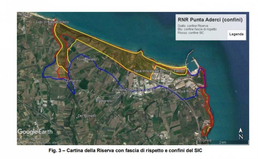 I risultati del censimento dei cinghiali sono allarmanti: "Ora l'Ispra ci dirà come intervenire"