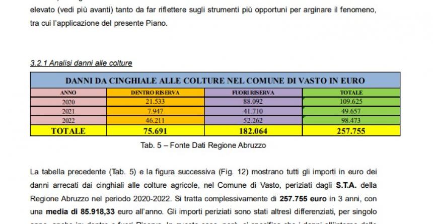 I risultati del censimento dei cinghiali sono allarmanti: "Ora l'Ispra ci dirà come intervenire"