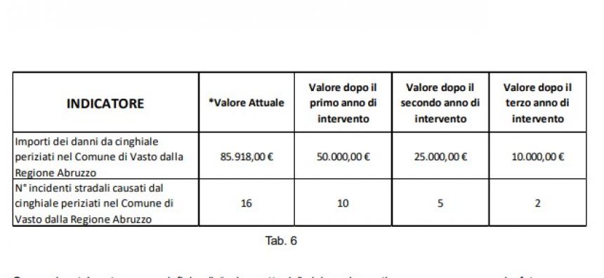 I risultati del censimento dei cinghiali sono allarmanti: "Ora l'Ispra ci dirà come intervenire"