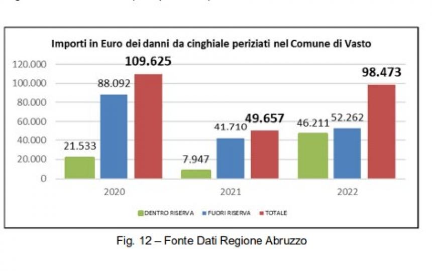 I risultati del censimento dei cinghiali sono allarmanti: "Ora l'Ispra ci dirà come intervenire"