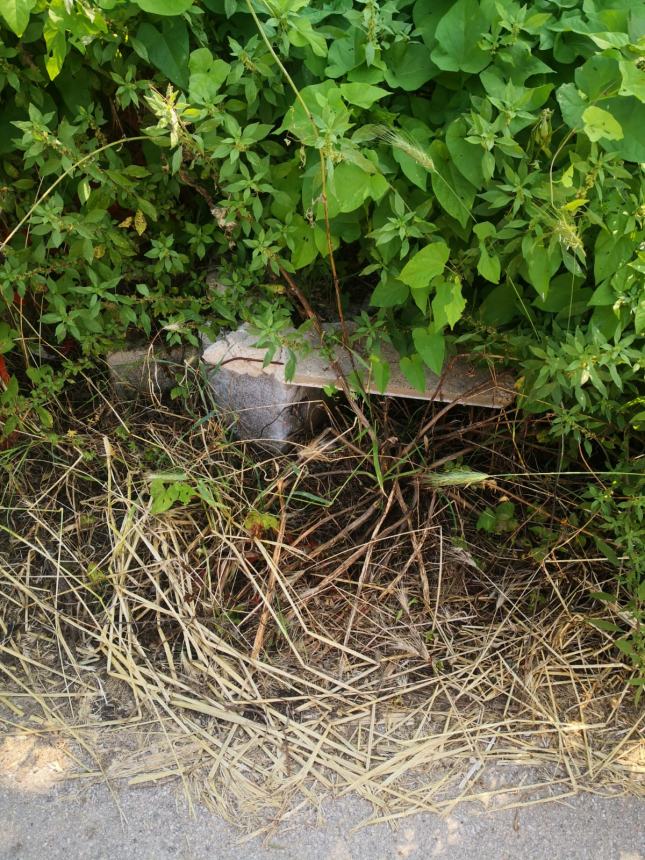 "In via Vilignina lavori realizzati a metà, il resto lasciato in grave abbandono"