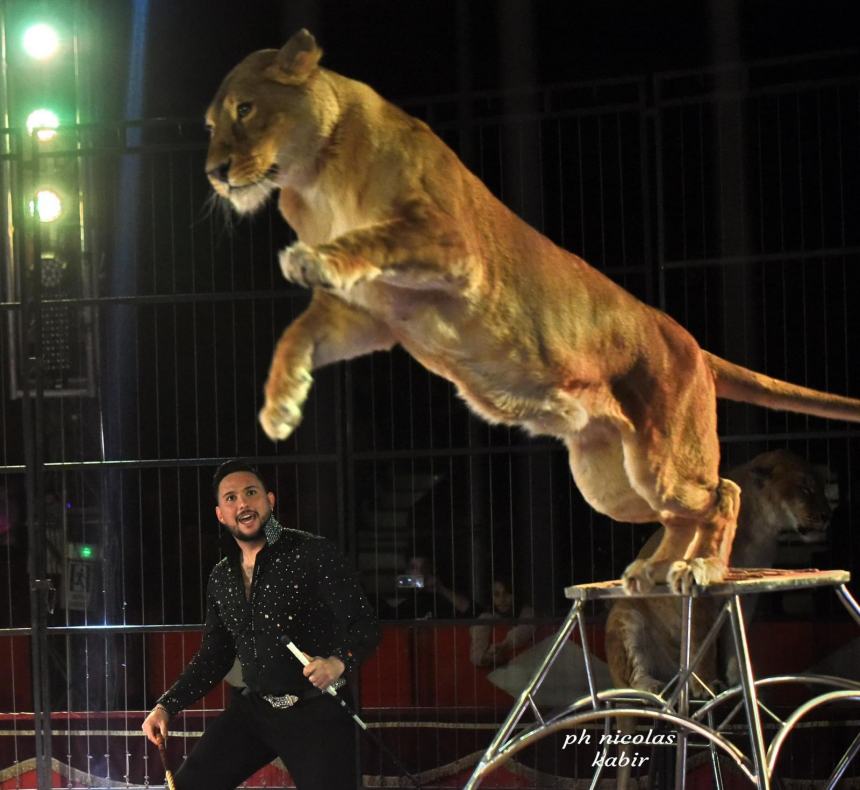 L'adrenalinico Circo Greca Orfei vi aspetta a Termoli dal 13 al 30 luglio