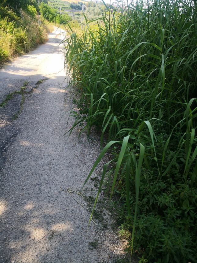 "In via Vilignina lavori realizzati a metà, il resto lasciato in grave abbandono"