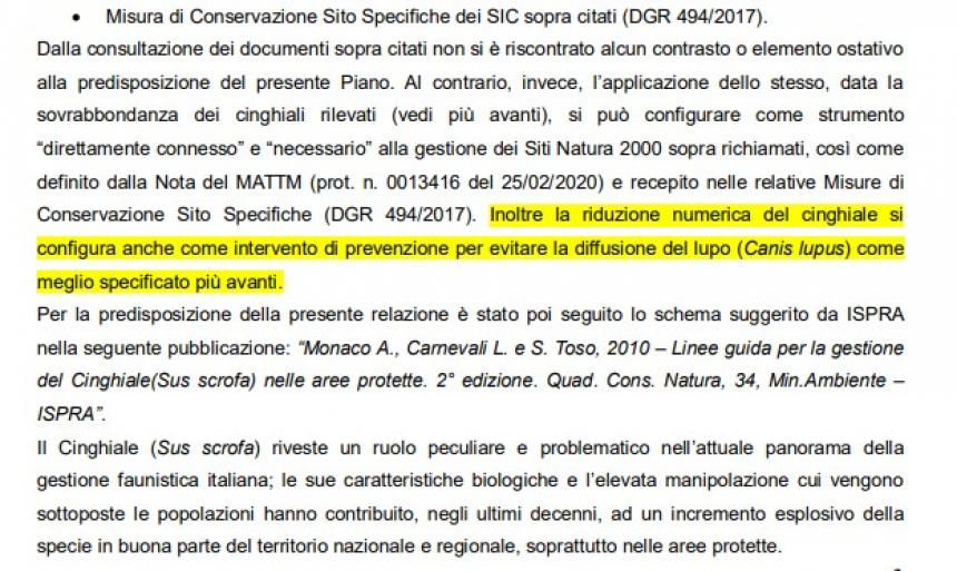 I risultati del censimento dei cinghiali sono allarmanti: "Ora l'Ispra ci dirà come intervenire"