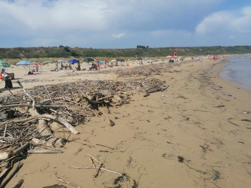 Punta Penna, polemiche sui mucchi di legna: "Lavoro incessante, ci vuole tempo per smaltire tutto"