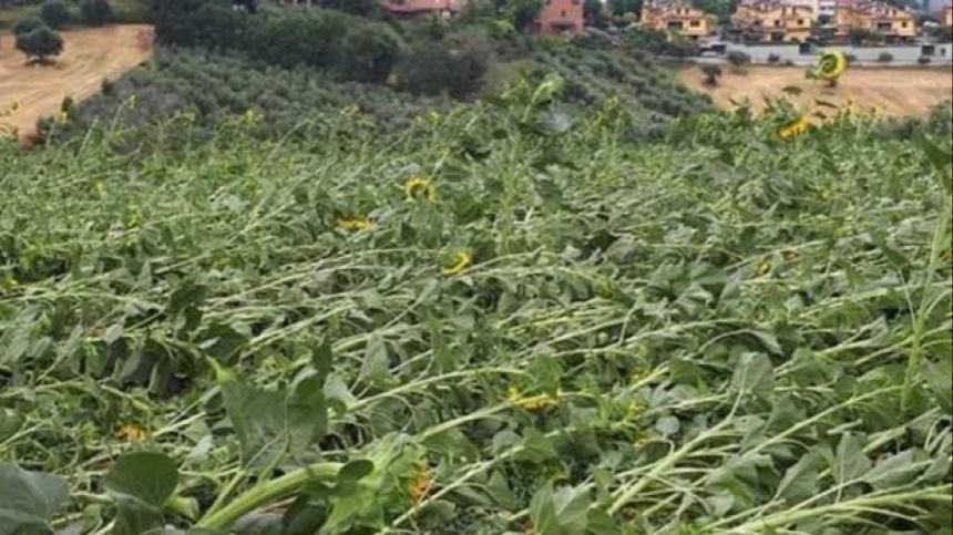 Termoli Campobasso Danni Da Maltempo Prorogata La Scadenza Delle Segnalazioni