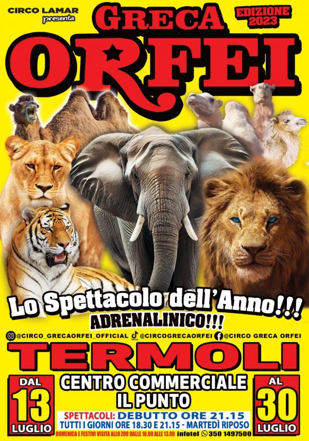 L'adrenalinico Circo Greca Orfei vi aspetta a Termoli dal 13 al 30 luglio