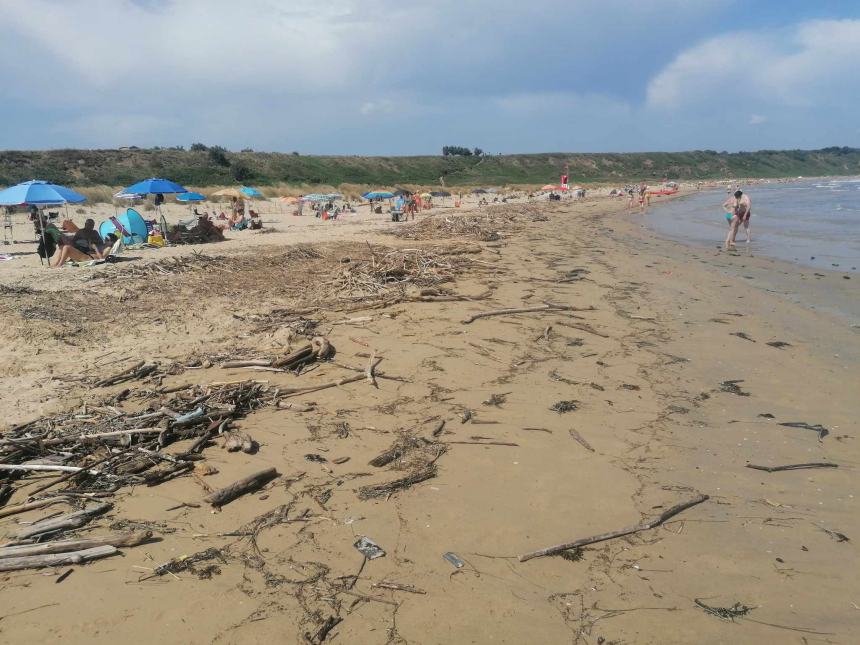 Punta Penna, polemiche sui mucchi di legna: "Lavoro incessante, ci vuole tempo per smaltire tutto"