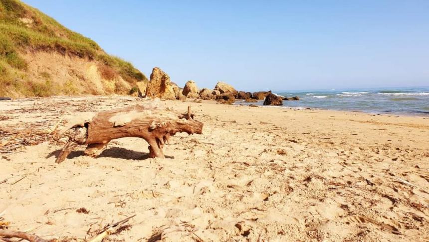 Sulla spiaggia di Punta Penna spuntano dinosauri: il museo preistorico impazza sui social