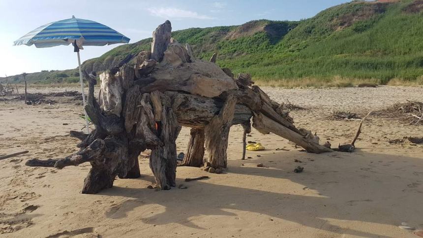 Sulla spiaggia di Punta Penna spuntano dinosauri: il museo preistorico impazza sui social