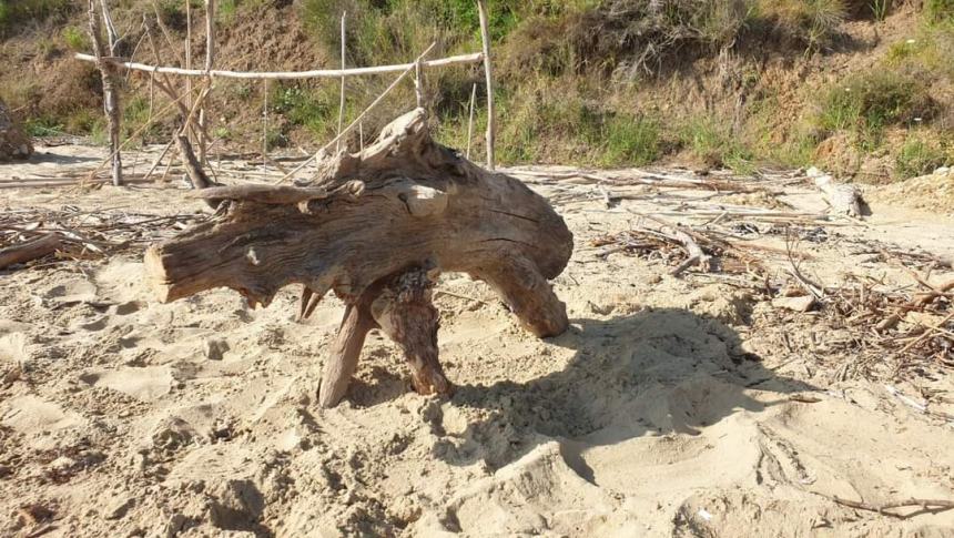 Sulla spiaggia di Punta Penna spuntano dinosauri: il museo preistorico impazza sui social