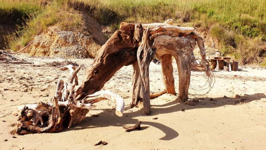 Sulla spiaggia di Punta Penna spuntano dinosauri: il museo preistorico impazza sui social