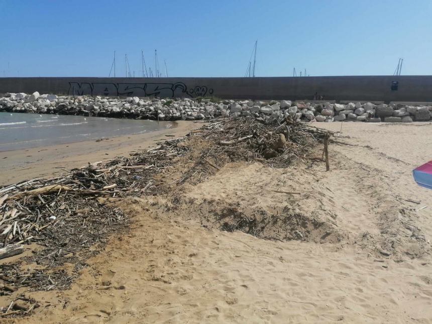 Punta Penna, polemiche sui mucchi di legna: "Lavoro incessante, ci vuole tempo per smaltire tutto"