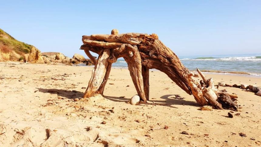 Sulla spiaggia di Punta Penna spuntano dinosauri: il museo preistorico impazza sui social