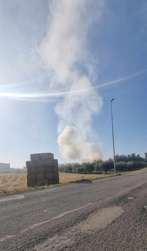 Rogo nella notte alla Tecnopack di San Salvo, in fiamme la pellettatrice nel cortile