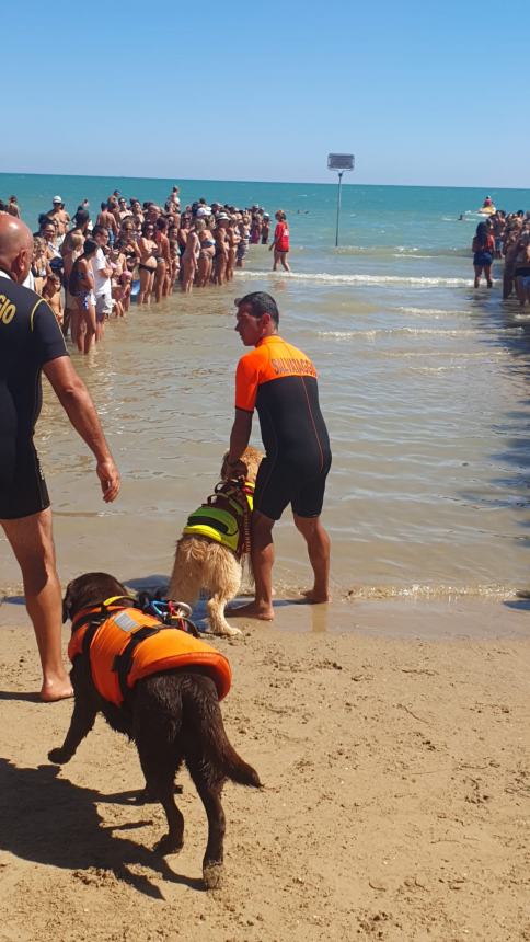 Buon riscontro a Vasto Marina per la lezione di sicurezza in mare con i cani di salvataggio 
