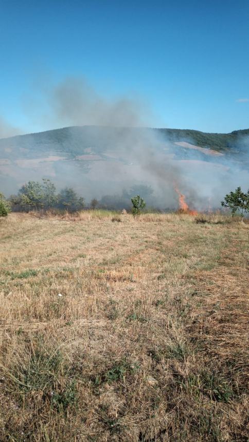 Rogo di boscaglia e sterpaglie in agro di Palmoli