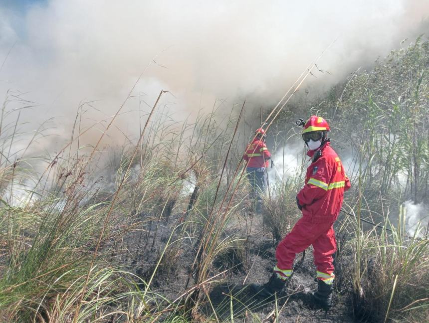 Fiamme a ridosso della ciclabile in contrada San Tommaso a Vasto Marina