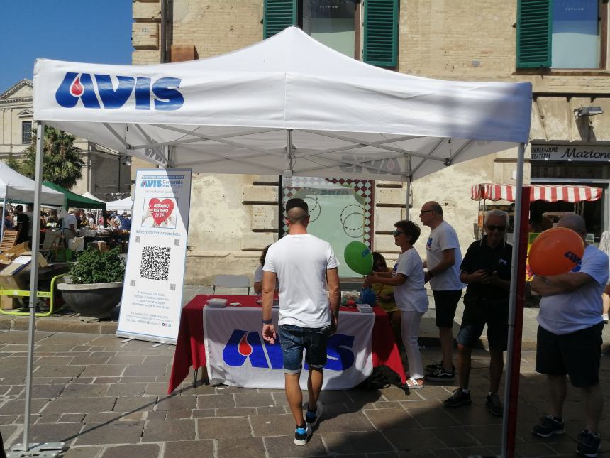 Campanelle per tutti i gusti alla Sagra dedicata a San Rocco: a Vasto rinnovata la tradizione 