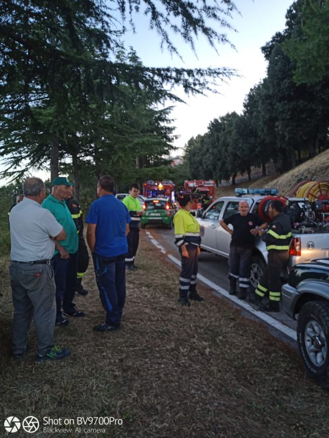 Rogo di boscaglia e sterpaglie in agro di Palmoli