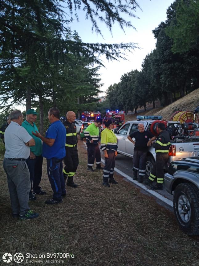 Rogo di boscaglia e sterpaglie in agro di Palmoli