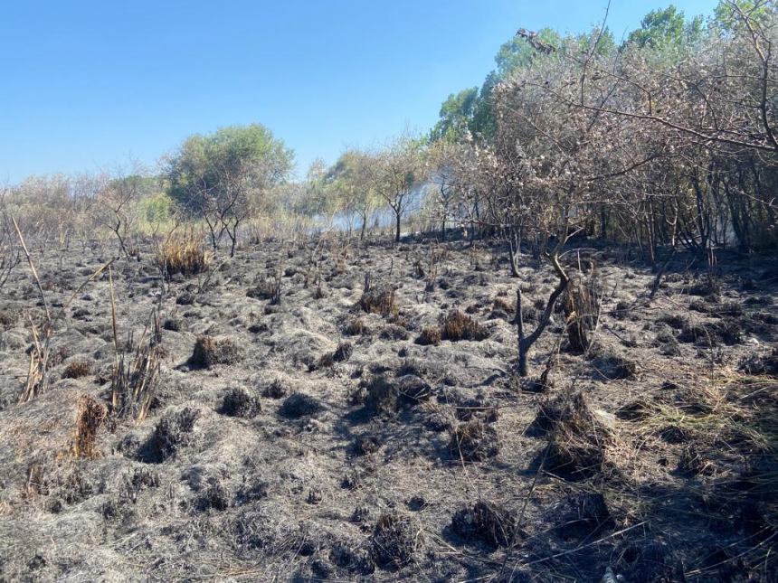 Fiamme a ridosso della ciclabile in contrada San Tommaso a Vasto Marina