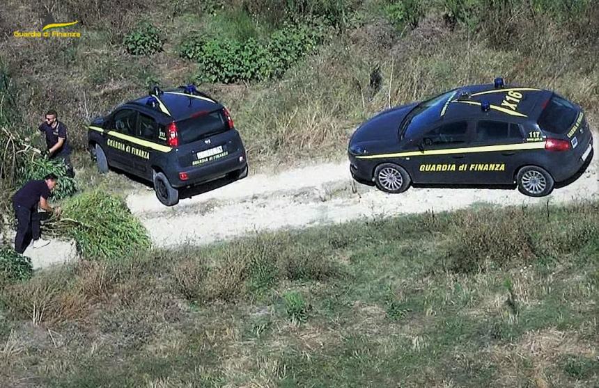 Piante di marijuana scoperte a Torino di Sangro: sequestrati 6 kg. dal valore di 30mila euro