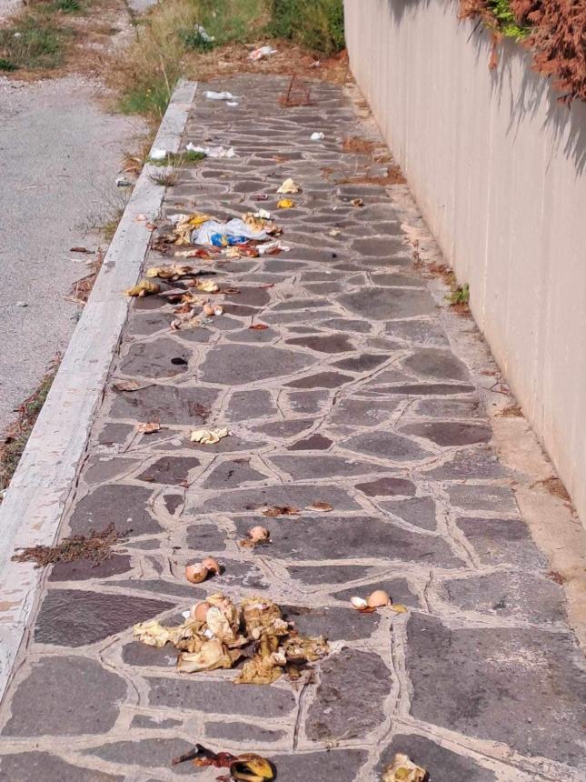 Cinghiali a Vasto banchettano con i rifiuti ai portoni di casa  e a bordo strada