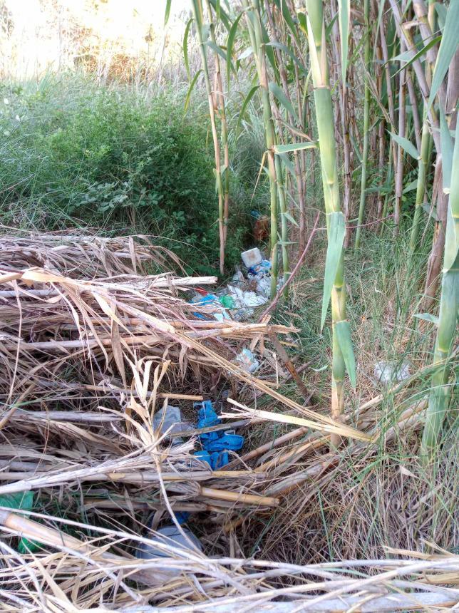 L'inciviltà colpisce ancora la pista ciclabile: rifiuti abbandonati e panchine rotte