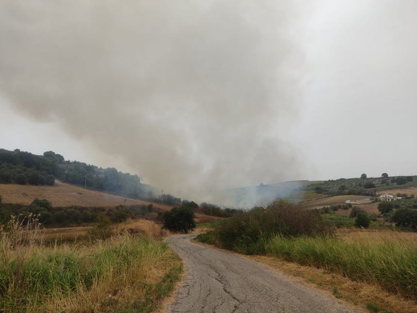 Incendio nell'agro di San Martino in Pensilis