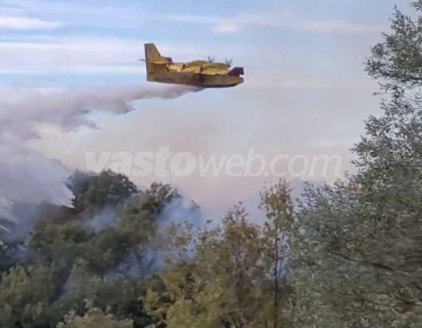 Ampio rogo in un bosco a Guilmi, necessario l'intervento dei Canadair