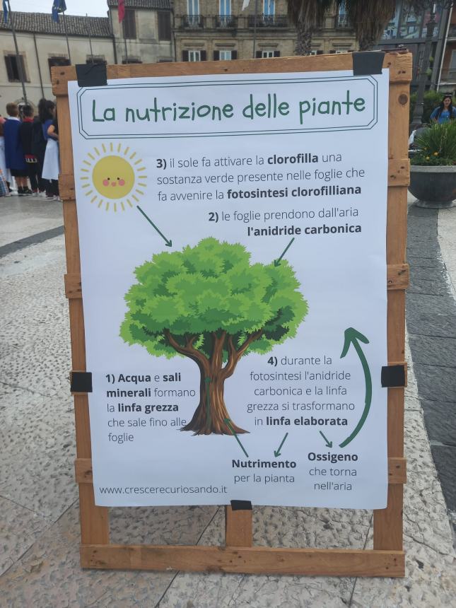 300 studenti vastesi in centro storico per i laboratori dedicati al pianeta Terra