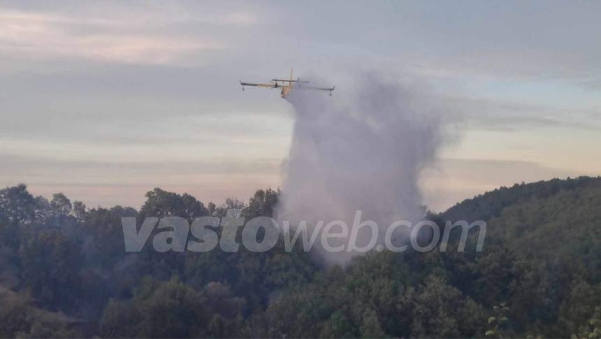 Ampio rogo in un bosco a Guilmi, necessario l'intervento dei Canadair