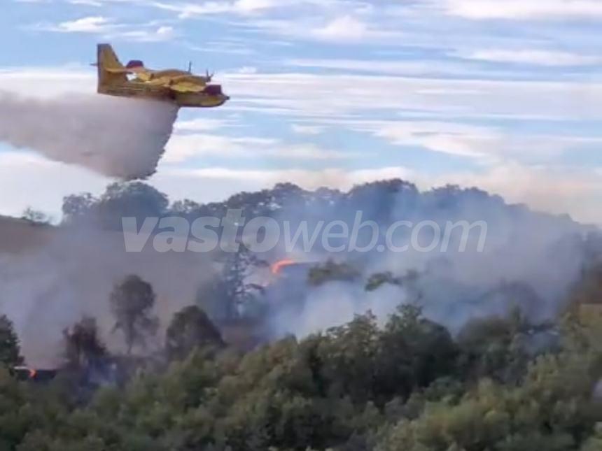 Ampio rogo in un bosco a Guilmi, necessario l'intervento dei Canadair