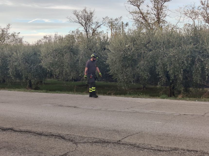 L'incendio in prossimità dei binari