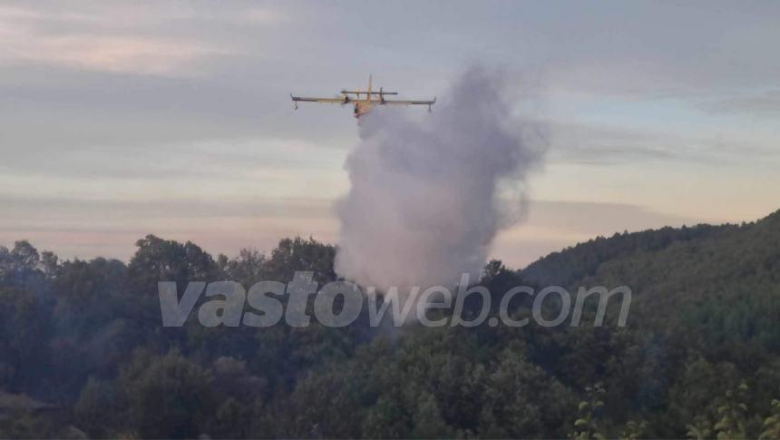 Ampio rogo in un bosco a Guilmi, necessario l'intervento dei Canadair