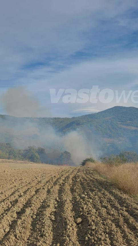 Ampio rogo in un bosco a Guilmi, necessario l'intervento dei Canadair