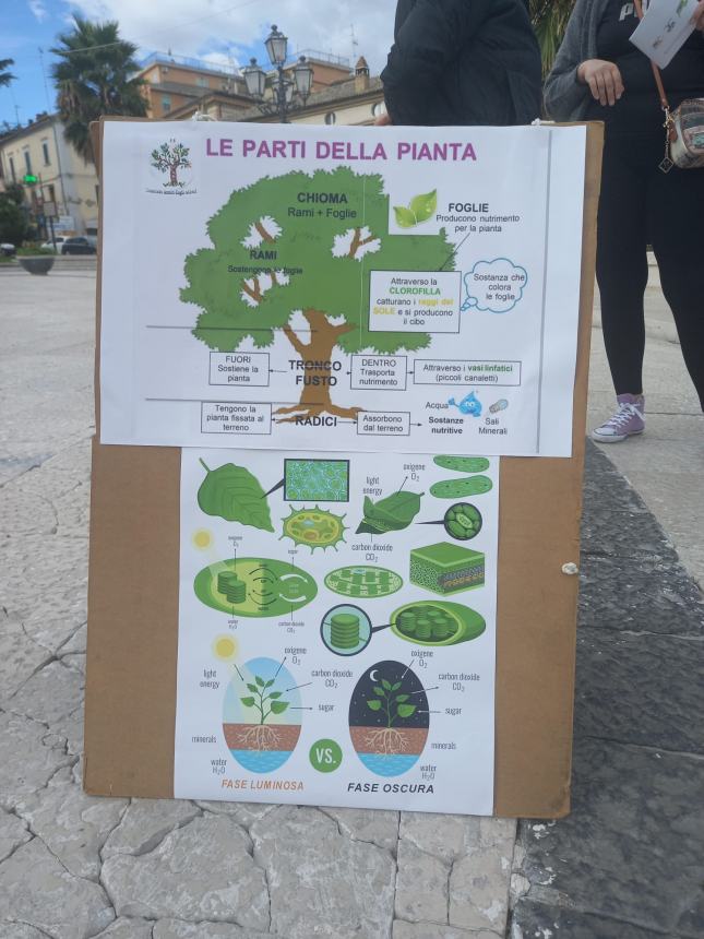 300 studenti vastesi in centro storico per i laboratori dedicati al pianeta Terra