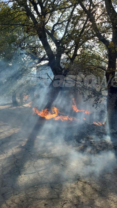 Ampio rogo in un bosco a Guilmi, necessario l'intervento dei Canadair